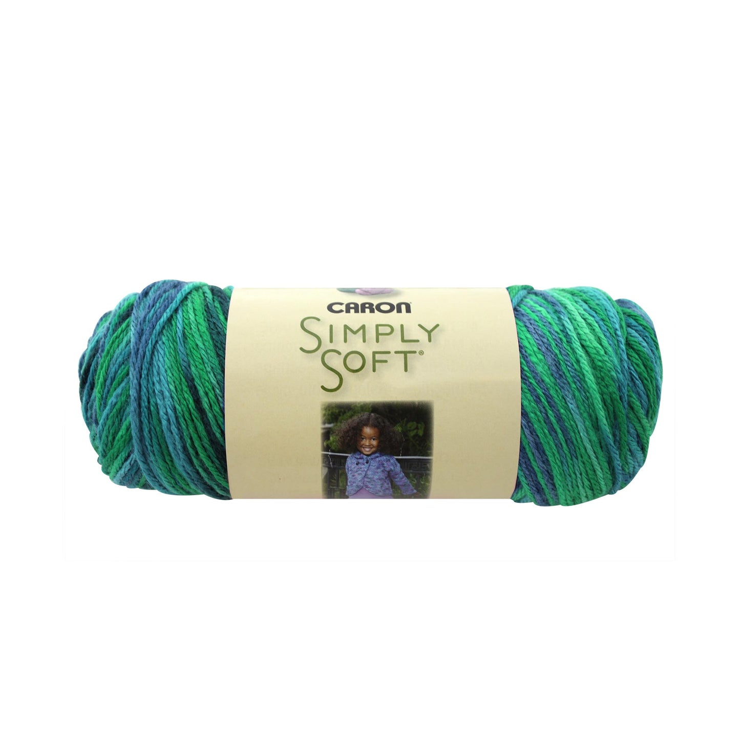 Caron Simply Soft Aran Yarn 141g - Paints & Heathers