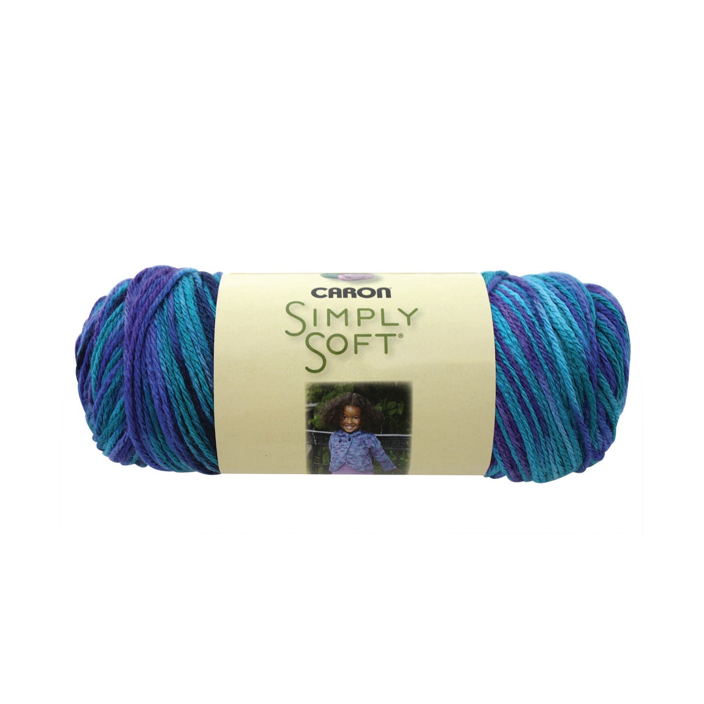 Caron Simply Soft Aran Yarn 141g - Paints & Heathers