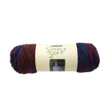 Caron Simply Soft Aran Yarn 141g - Paints & Heathers