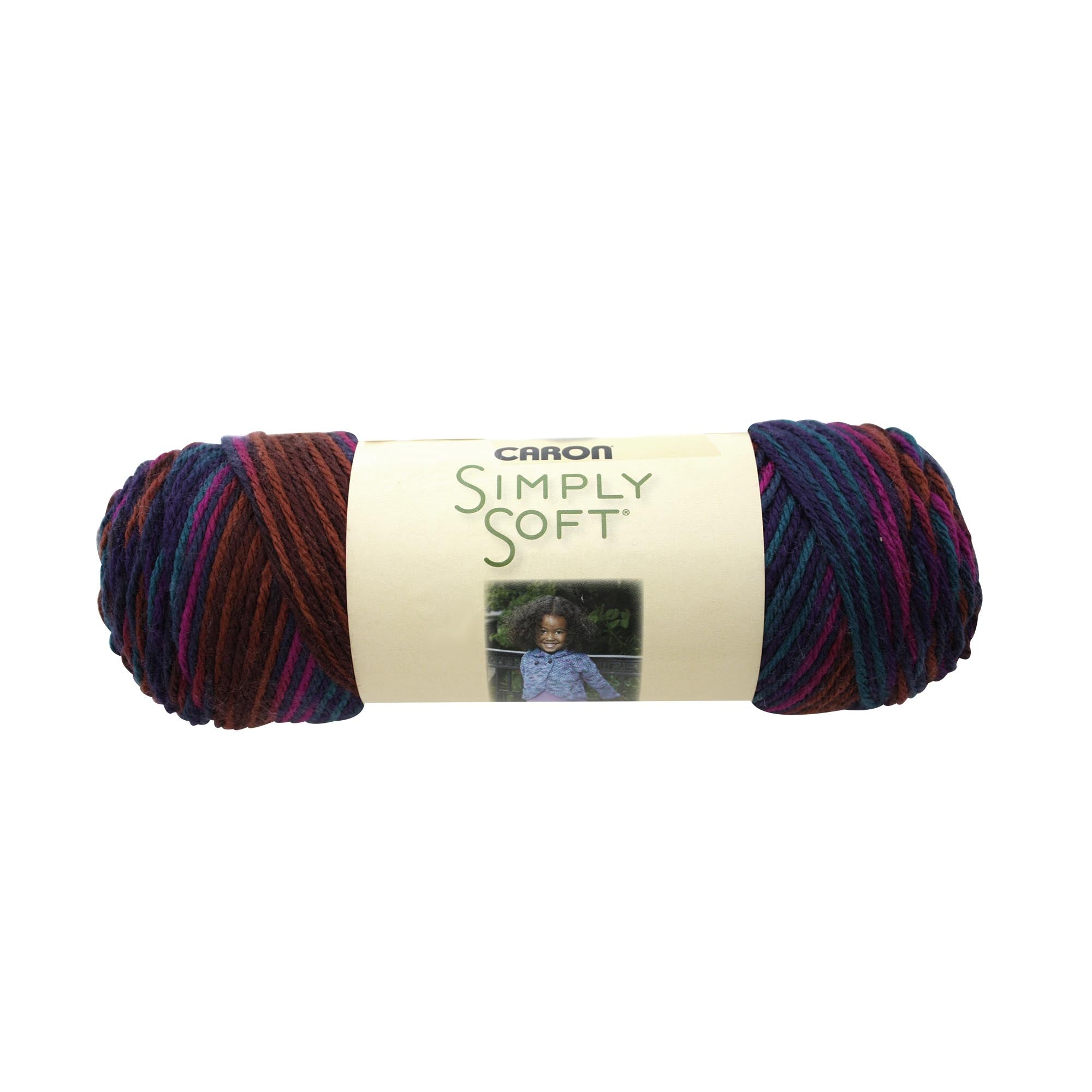 Caron Simply Soft Aran Yarn 141g - Paints & Heathers