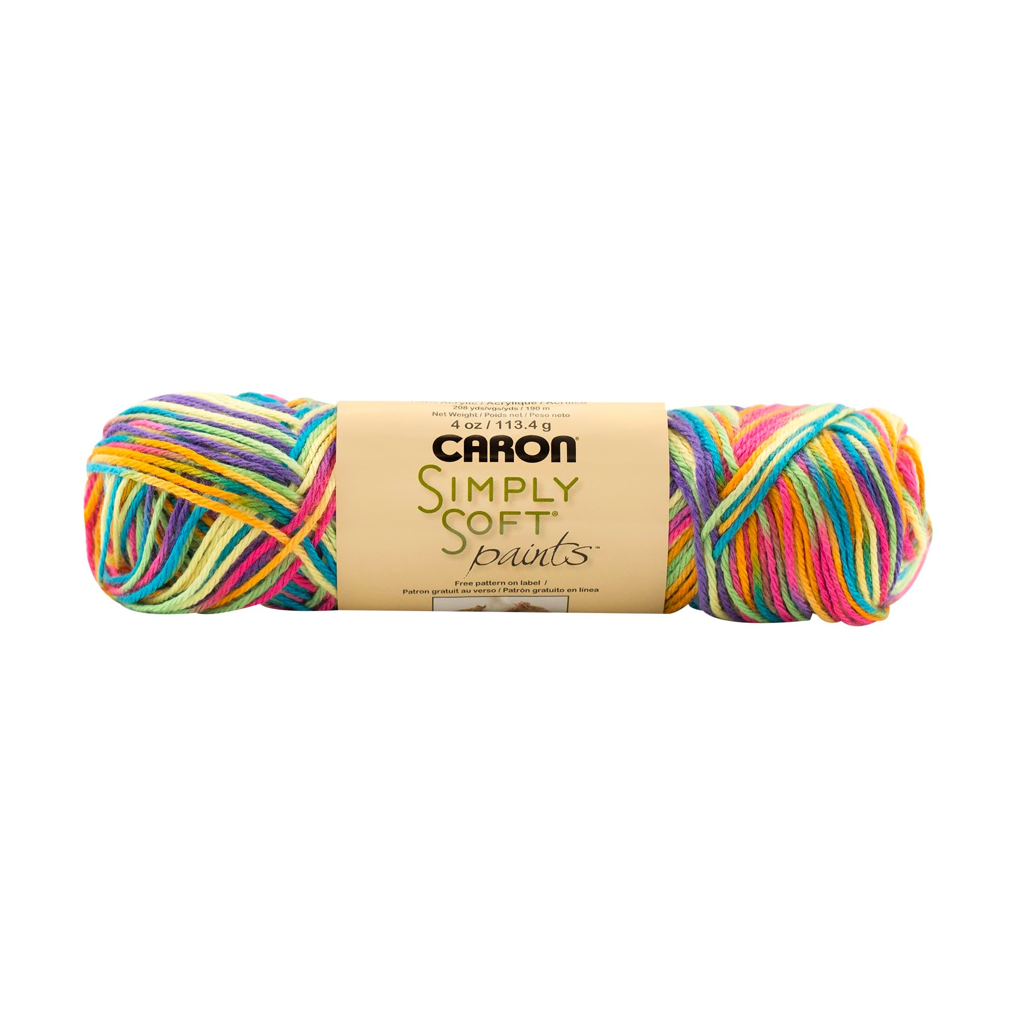 Caron Simply Soft Aran Yarn 141g - Paints & Heathers