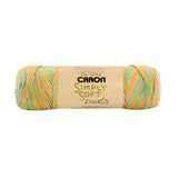 Caron Simply Soft Aran Yarn 141g - Paints & Heathers