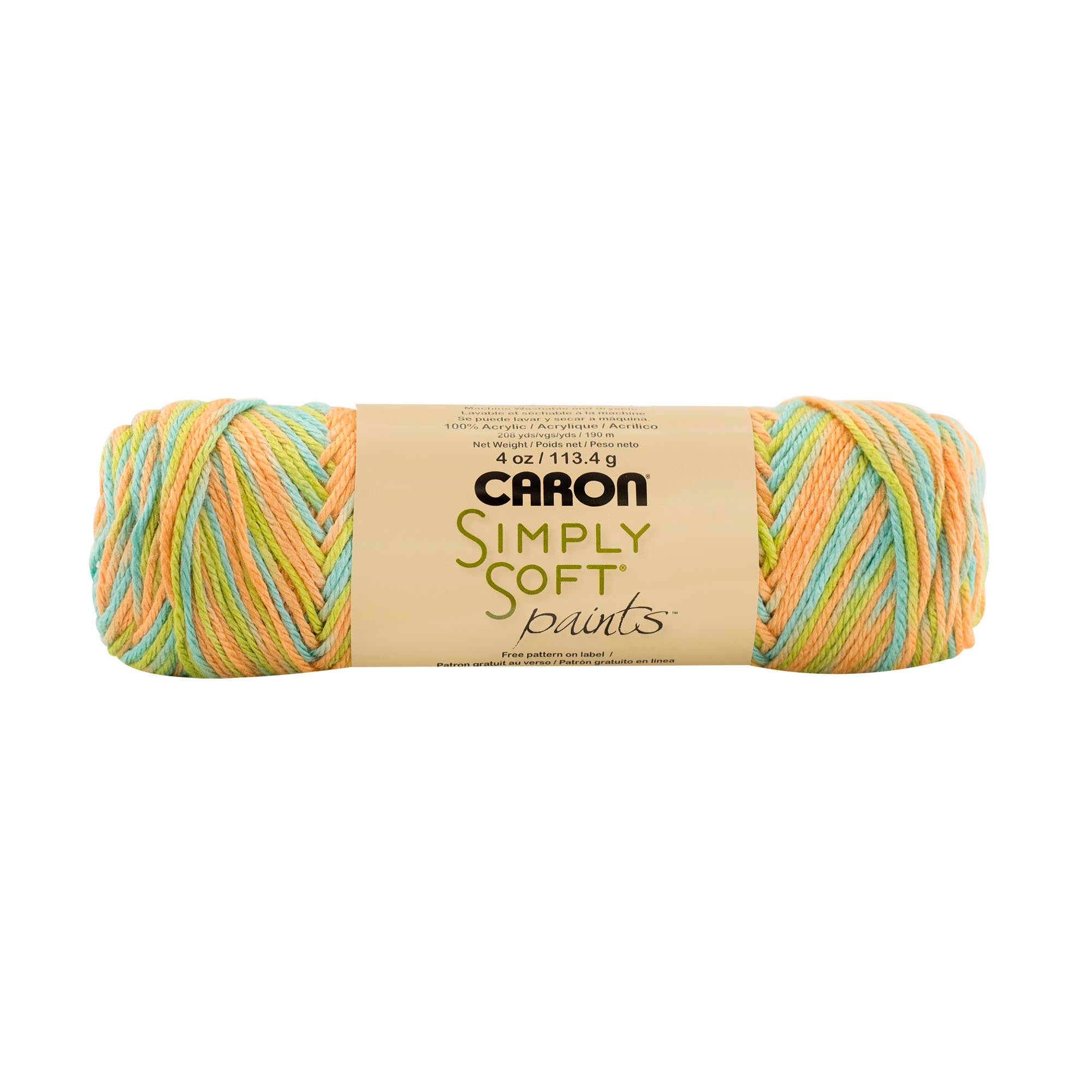 Caron Simply Soft Aran Yarn 141g - Paints & Heathers