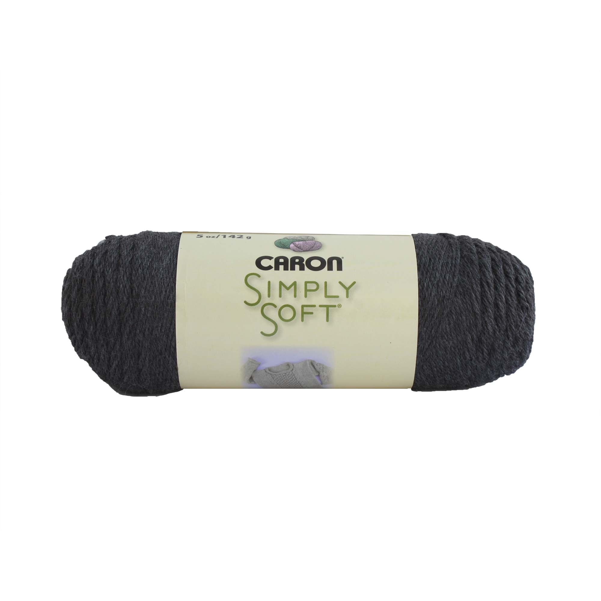 Caron Simply Soft Aran Yarn 141g - Paints & Heathers