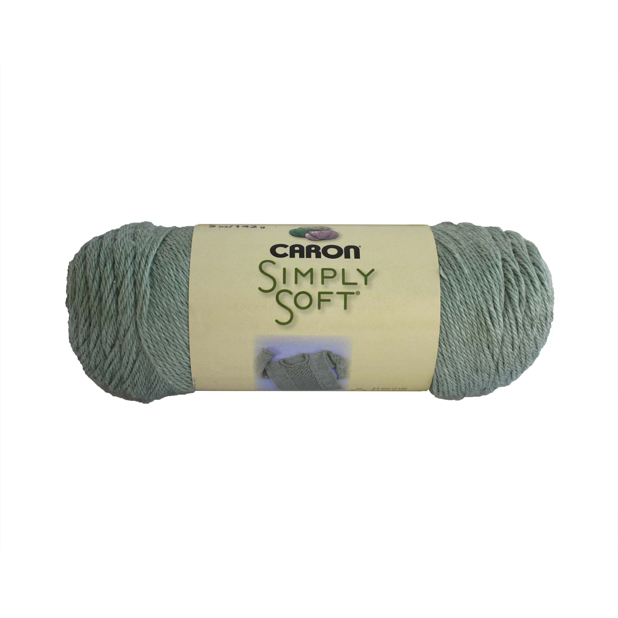 Caron Simply Soft Aran Yarn 141g - Paints & Heathers