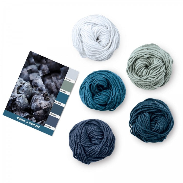 Caron x Pantone 100g Chunky Yarn
