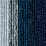 Caron x Pantone 100g Chunky Yarn