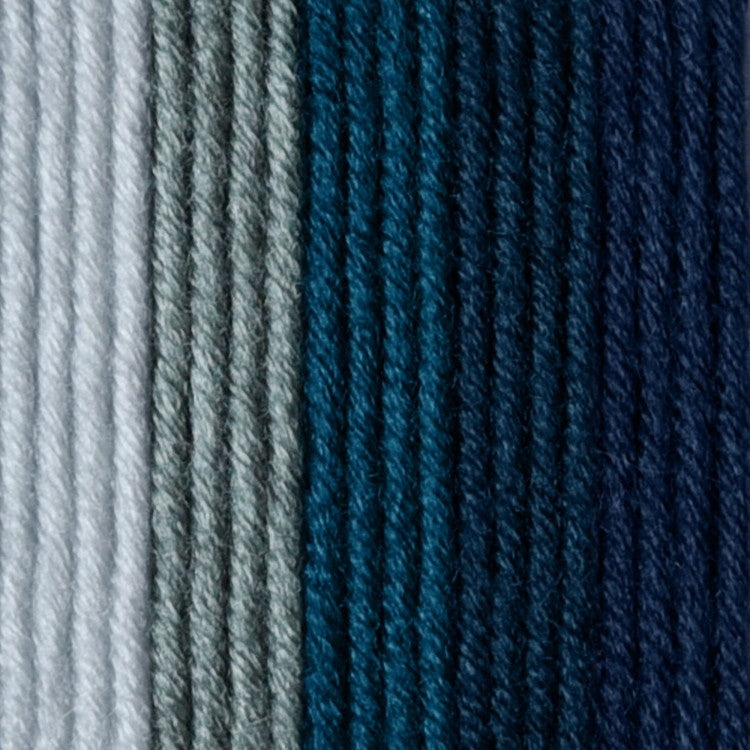 Caron x Pantone 100g Chunky Yarn