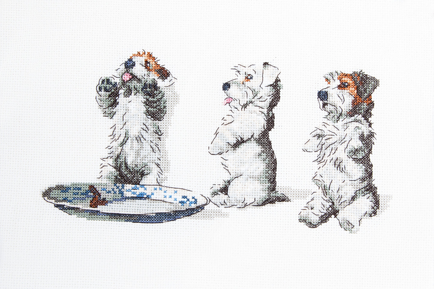 Cecil Aldin Man's Best Friend Cross Stitch Kit - Scrap Tatty & Pip