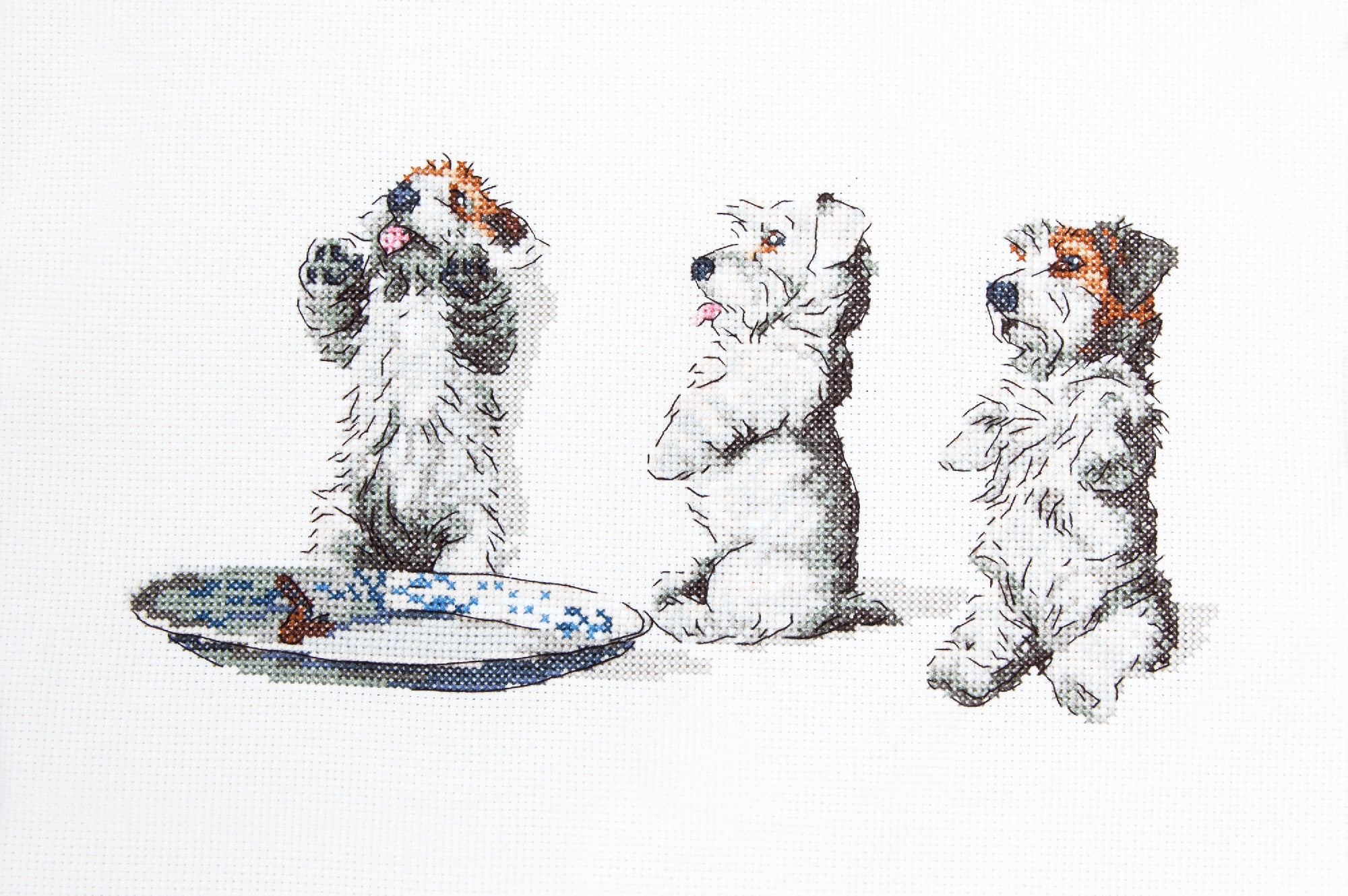 Cecil Aldin Man's Best Friend Cross Stitch Kit - Scrap Tatty & Pip