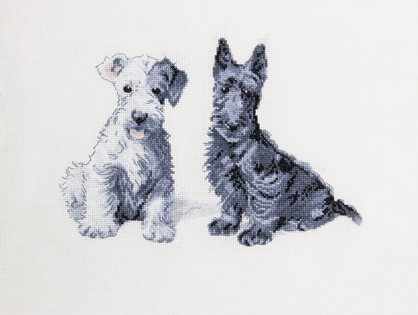 Cecil Aldin Man's Best Friend Cross Stitch Kit - Molly & Evie