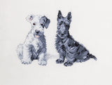 Cecil Aldin Man's Best Friend Cross Stitch Kit - Molly & Evie
