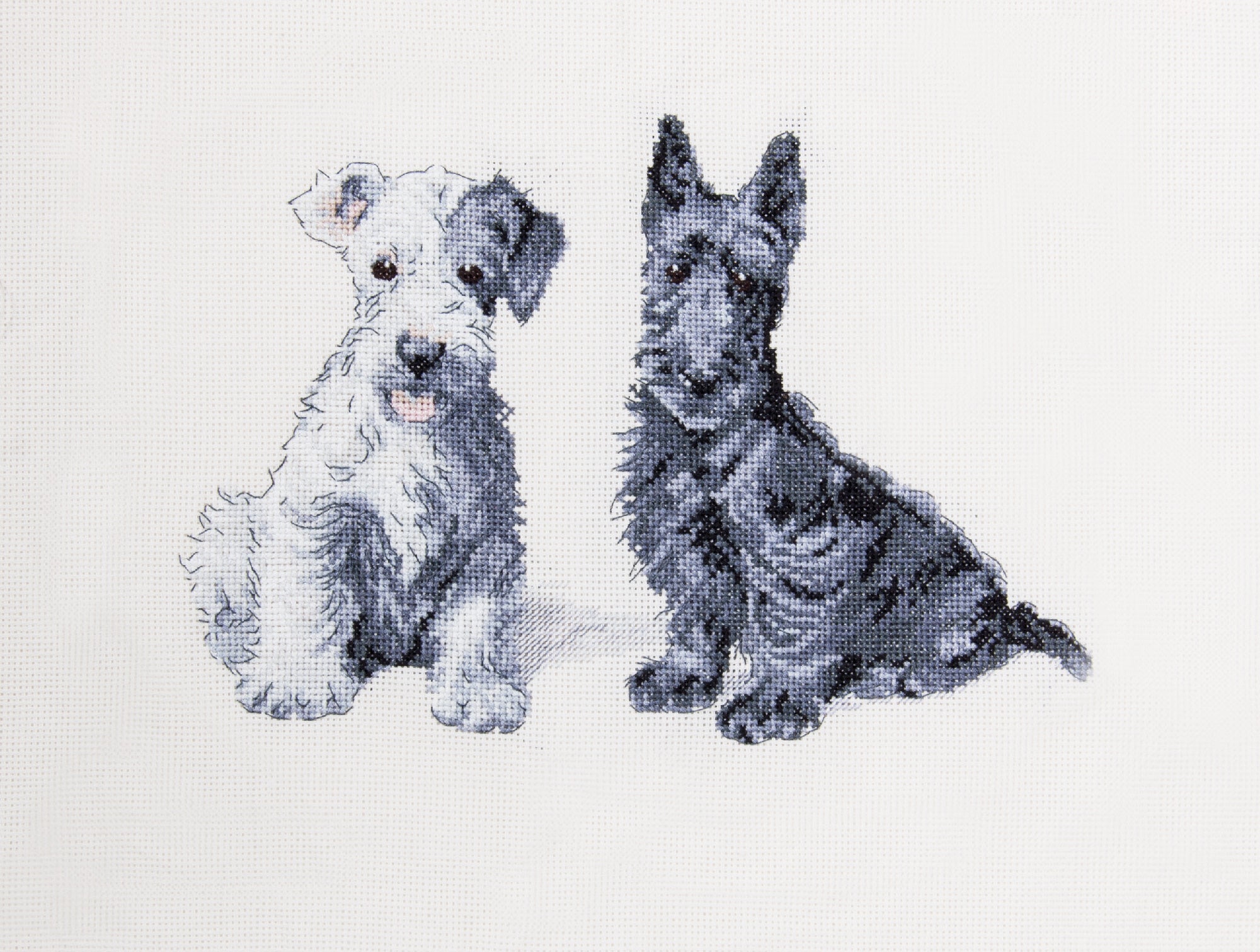Cecil Aldin Man's Best Friend Cross Stitch Kit - Molly & Evie