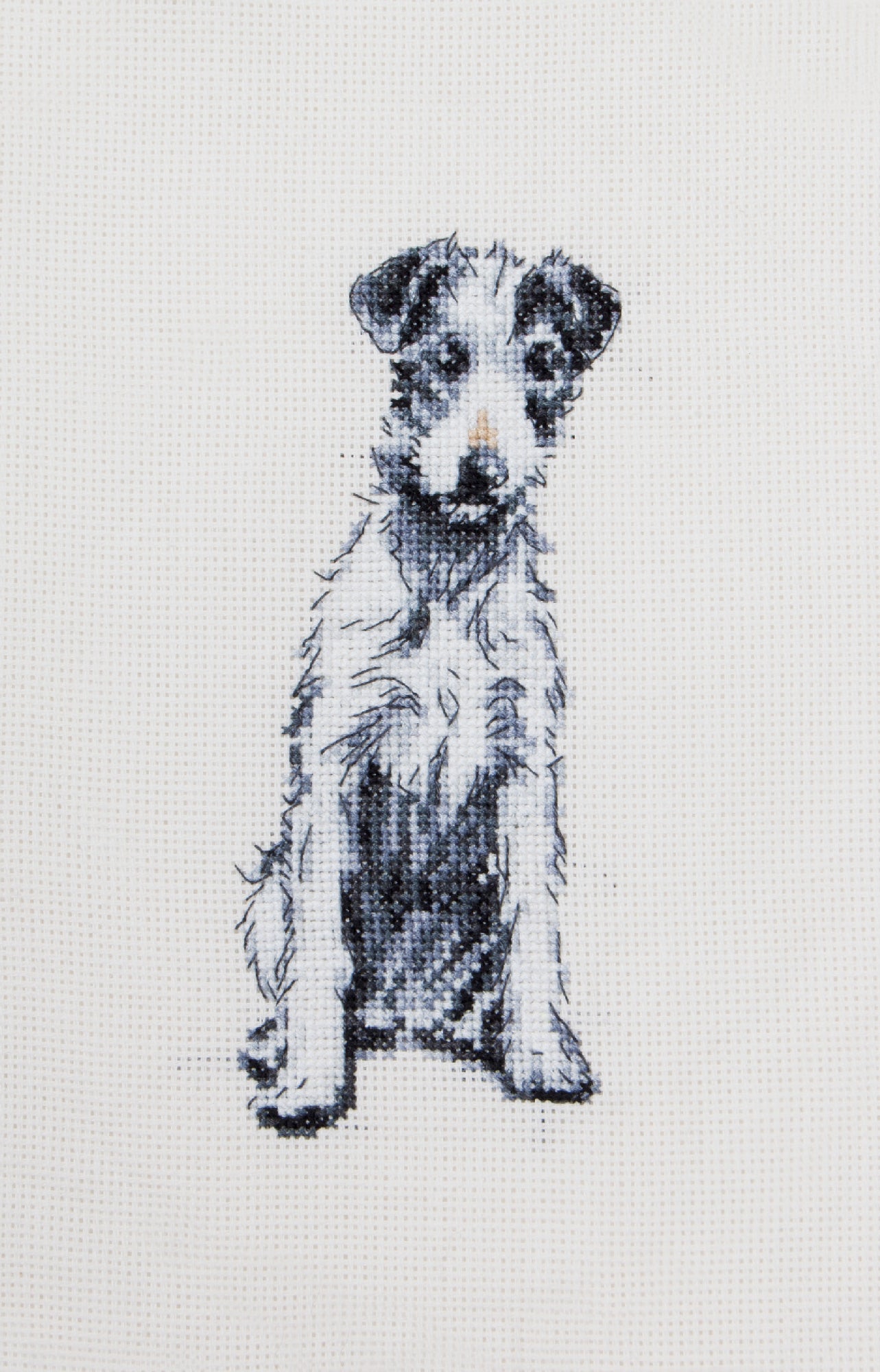 Cecil Aldin Man's Best Friend Cross Stitch Kit - Barney