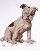 Cecil Aldin Man's Best Friend Cross Stitch Kit - Henry