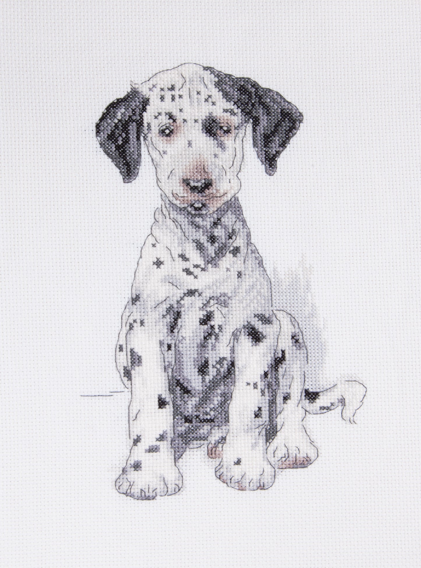 Cecil Aldin Man's Best Friend Cross Stitch Kit - Pongo
