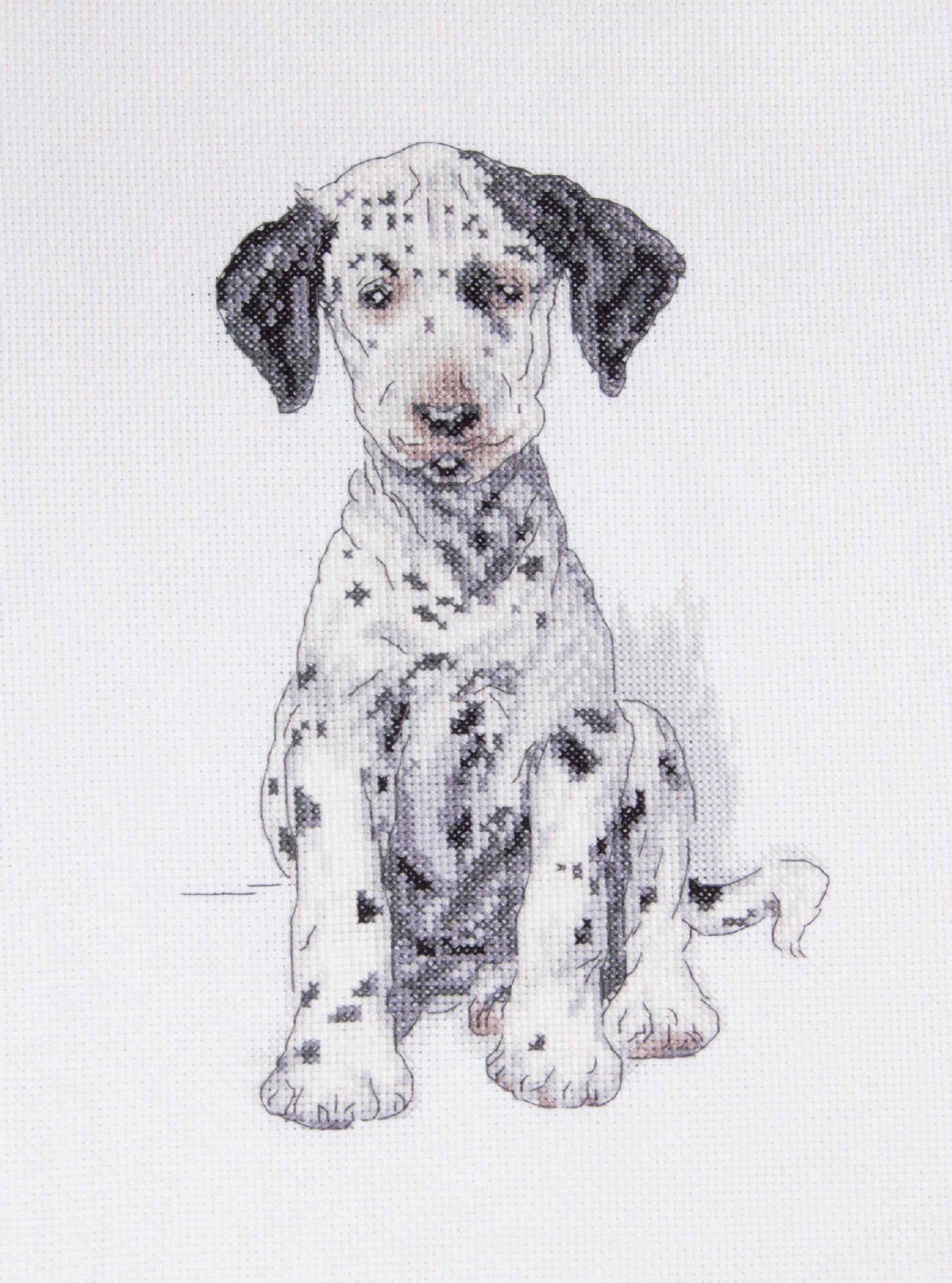 Cecil Aldin Man's Best Friend Cross Stitch Kit - Pongo