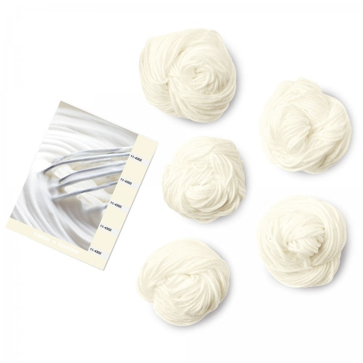 Caron x Pantone 100g Chunky Yarn