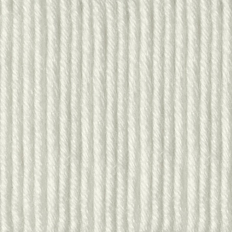 Caron x Pantone 100g Chunky Yarn