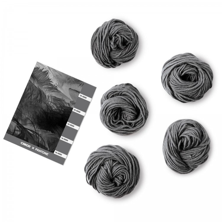 Caron x Pantone 100g Chunky Yarn
