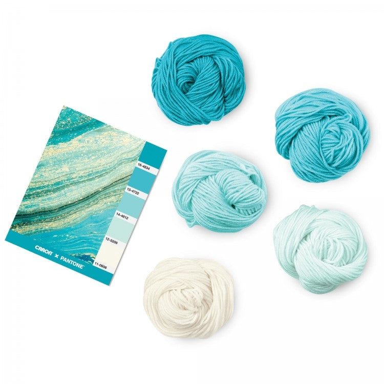 Caron x Pantone 100g Chunky Yarn