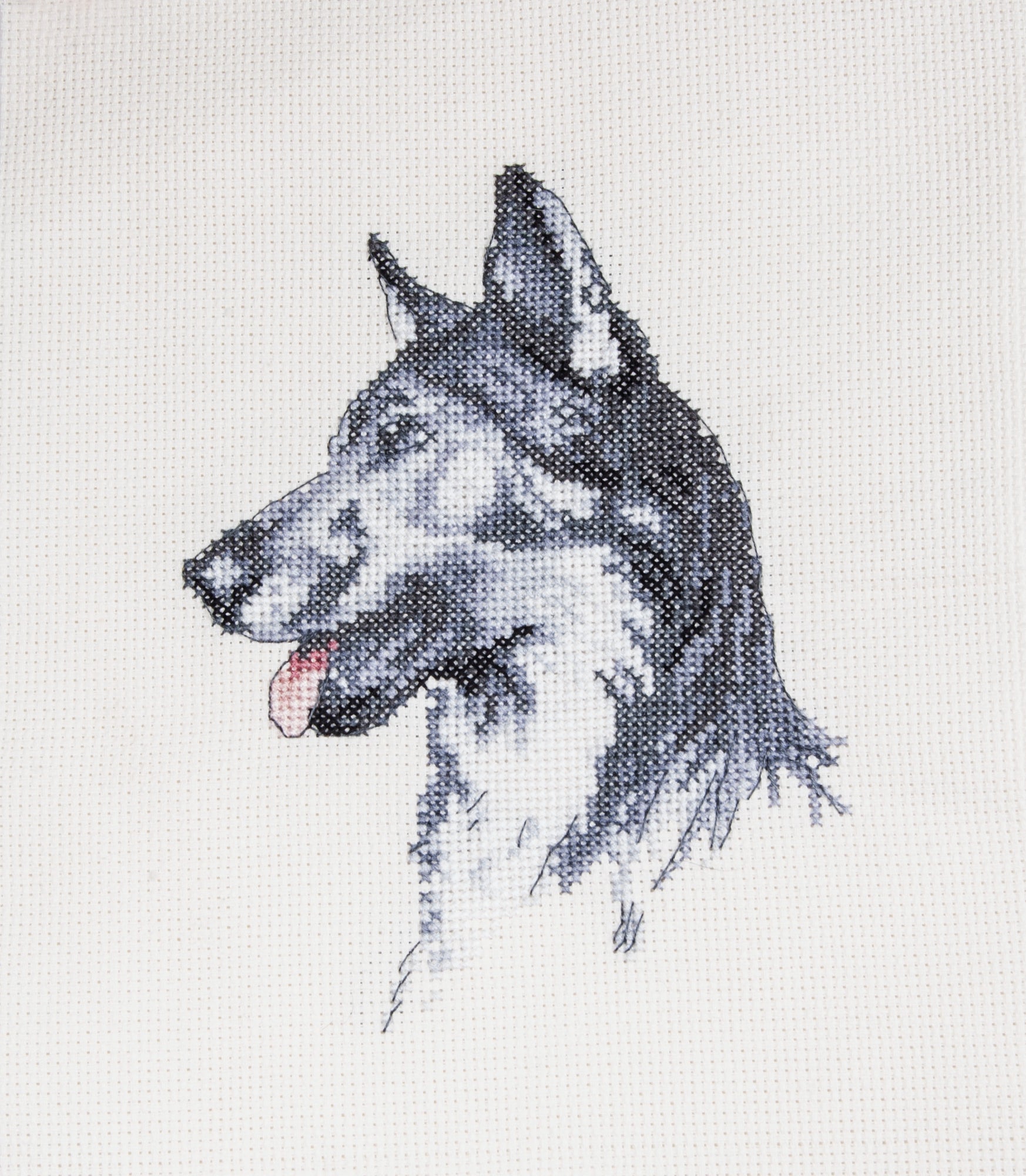 Cecil Aldin Man's Best Friend Cross Stitch Kit - Fred