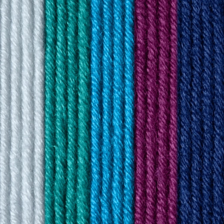 Caron x Pantone 100g Chunky Yarn