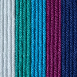 Caron x Pantone 100g Chunky Yarn