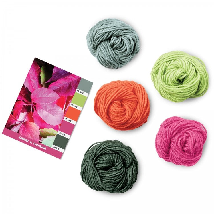 Caron x Pantone 100g Chunky Yarn