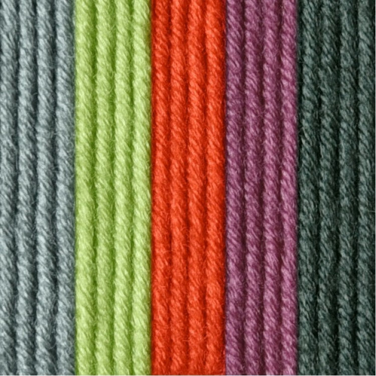 Caron x Pantone 100g Chunky Yarn