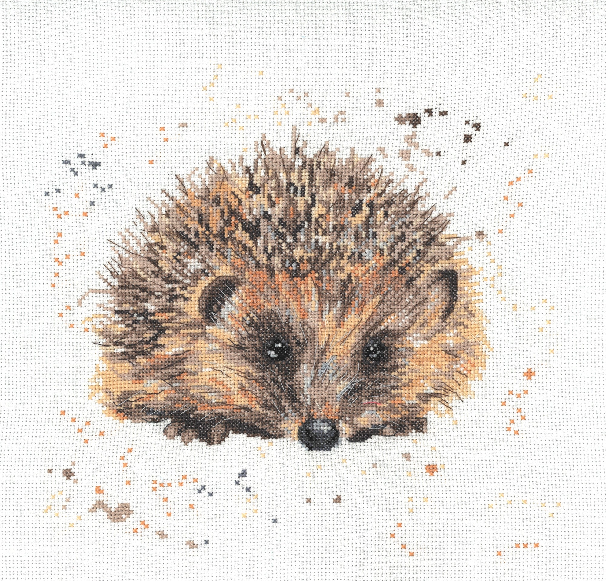 Bree Merryn - Counted Cross Stitch Kit - Harley the Hedgehog