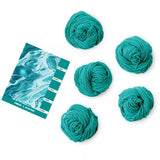 Caron x Pantone 100g Chunky Yarn
