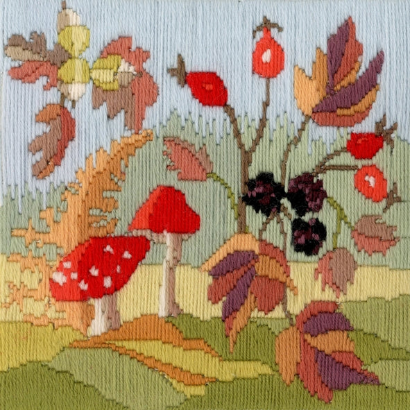 Derwentwater Designs - Long Stitch Seasons: Autumn LSS03