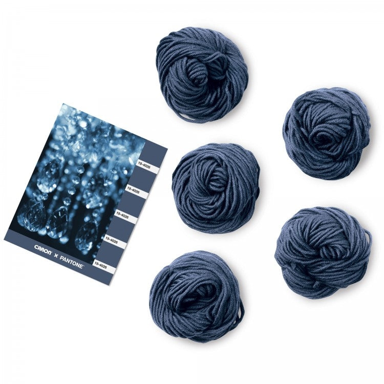 Caron x Pantone 100g Chunky Yarn