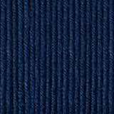 Caron x Pantone 100g Chunky Yarn
