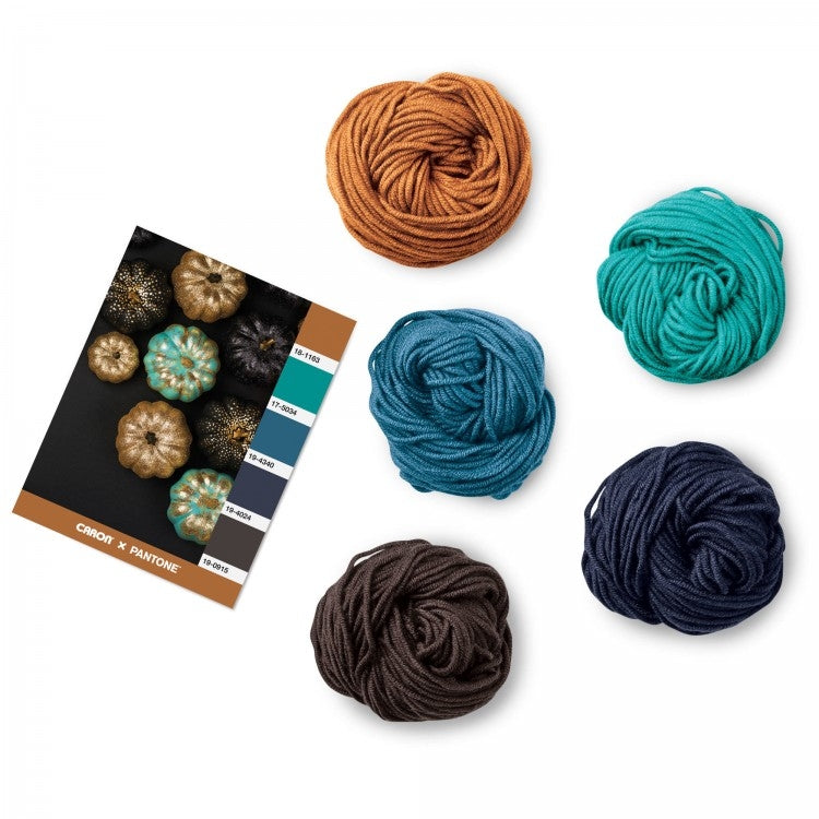 Caron x Pantone 100g Chunky Yarn