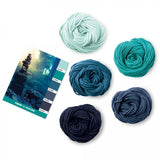 Caron x Pantone 100g Chunky Yarn