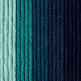 Caron x Pantone 100g Chunky Yarn