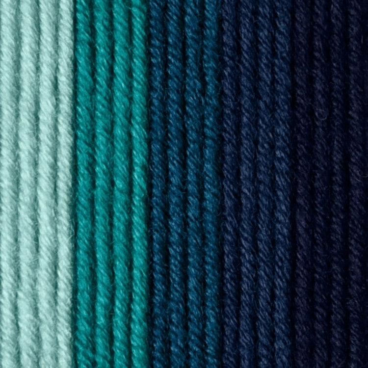 Caron x Pantone 100g Chunky Yarn