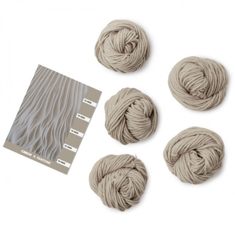 Caron x Pantone 100g Chunky Yarn