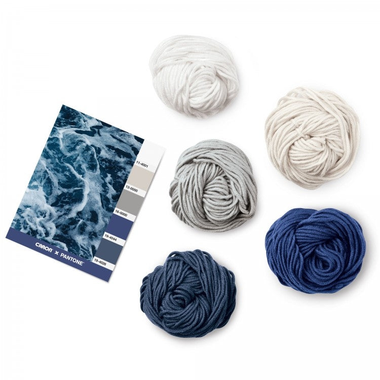 Caron x Pantone 100g Chunky Yarn