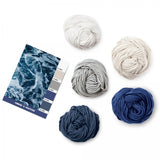 Caron x Pantone 100g Chunky Yarn