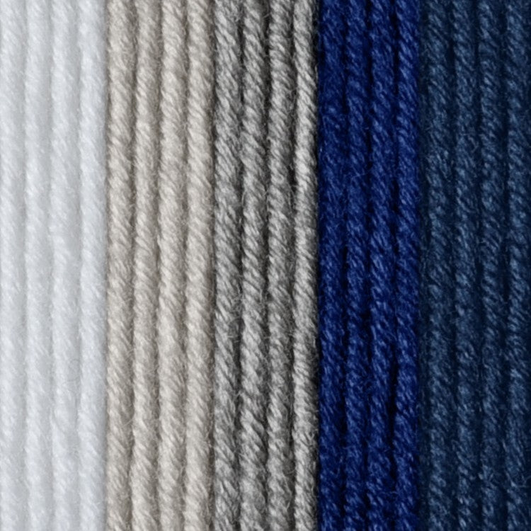 Caron x Pantone 100g Chunky Yarn