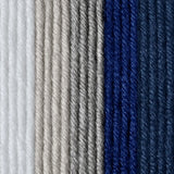 Caron x Pantone 100g Chunky Yarn