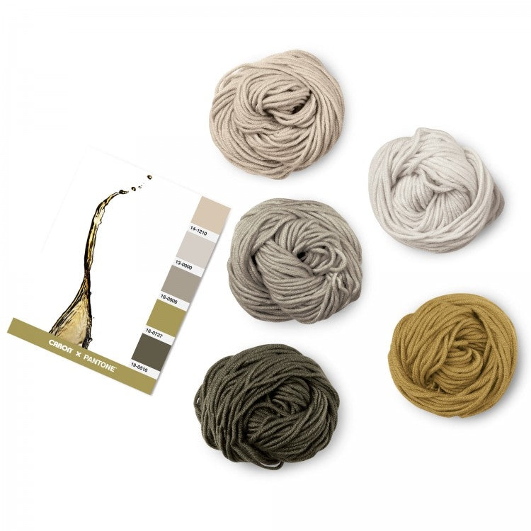 Caron x Pantone 100g Chunky Yarn