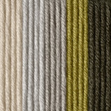 Caron x Pantone 100g Chunky Yarn