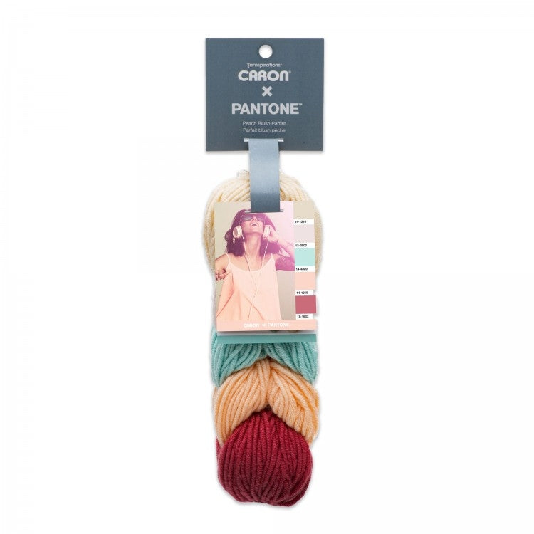 Caron x Pantone 100g Chunky Yarn