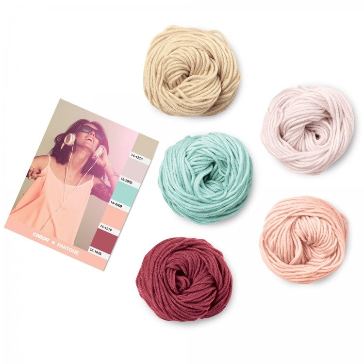 Caron x Pantone 100g Chunky Yarn