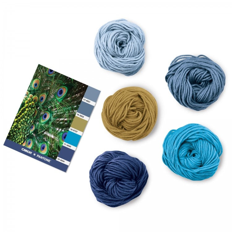 Caron x Pantone 100g Chunky Yarn