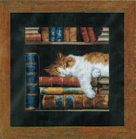 Vervaco Cross Stitch Kit Cat On Bookshelf 14ct PN-0147121